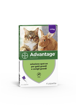 ADVANTAGE*4PIP 0,8ML SPOTON - FarmaLucia