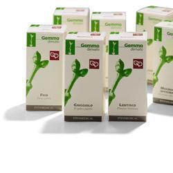 SALICE AMENTI MACERATO GLICERICO 100 ML - FarmaLucia