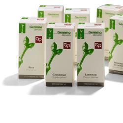 TAMERICE MACERATO GLICERICO 100 ML - FarmaLucia