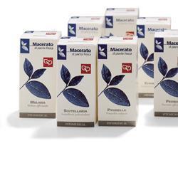 UVA URSINA TINTURA MADRE 200 ML - FarmaLucia