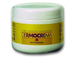 DERMOCREMA 250 ML - FarmaLucia