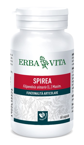 SPIREA ULMARIA 60 CAPSULE 400 MG - FarmaLucia