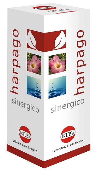 HARPAGO SINERGICO GOCCE 100 ML - FarmaLucia