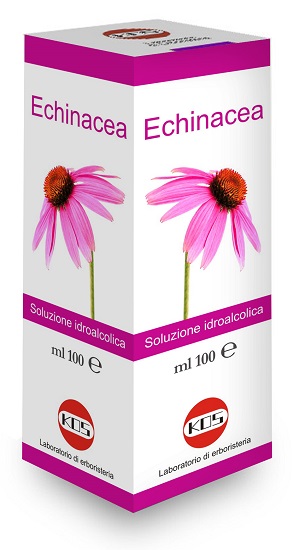 ECHINACEA SOLUZIONE IDROALCOLICA PIANTA FRESCA 100 ML - FarmaLucia