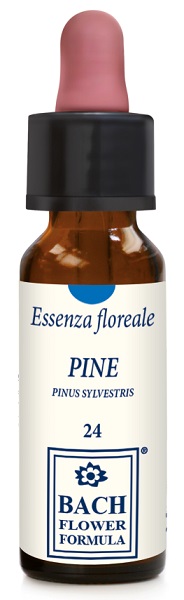 PINE ORIGINAL GOCCE 10 ML - FarmaLucia