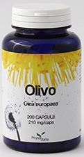 OLIVO 60 CAPSULE - FarmaLucia