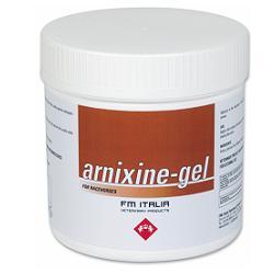 ARNIXINE GEL 750 ML - FarmaLucia
