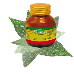 SPIRULINA 60 CAPSULE - FarmaLucia