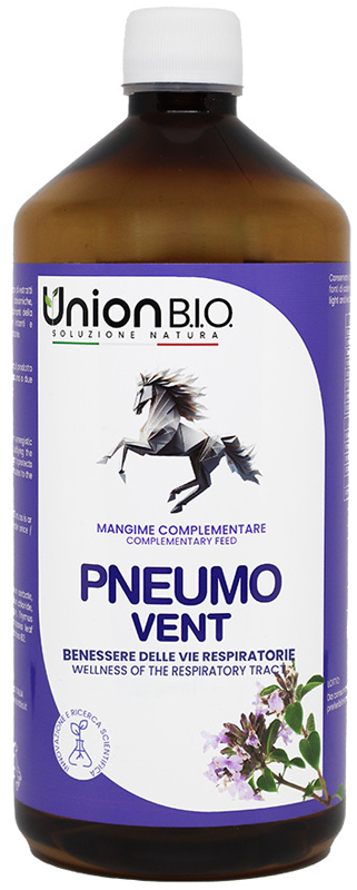 PNEUMO VENT 1 LITRO - FarmaLucia