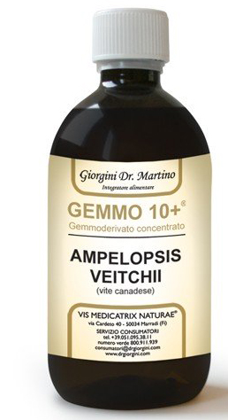 GEMMO 10+ GEMMODERIVATO CONCENTRATO LIQUIDO ANALCOLICO AMPELOPSIS VEITCHI VITE CANADESE 500 ML - FarmaLucia