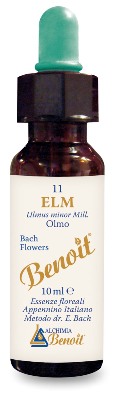 FIORI DI BACH BENOIT ELM 10 ML - FarmaLucia