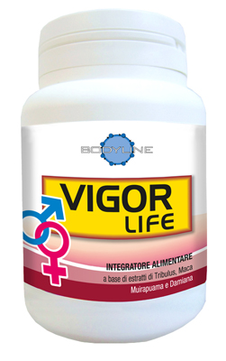 VIGOR LIFE 40 CAPSULE - FarmaLucia
