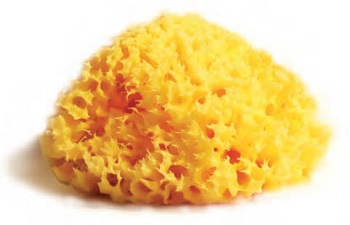 SPUGNA NATURALE MEDITERRANEA LABORATORI ATENEI 10 - FarmaLucia