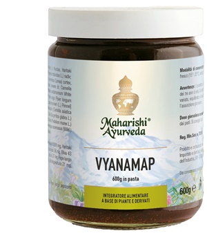 VYANAMAP PASTA 600 G - FarmaLucia