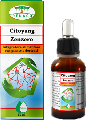 CITOYANG ZENZERO GOCCE FLACONCINO 50 ML - FarmaLucia