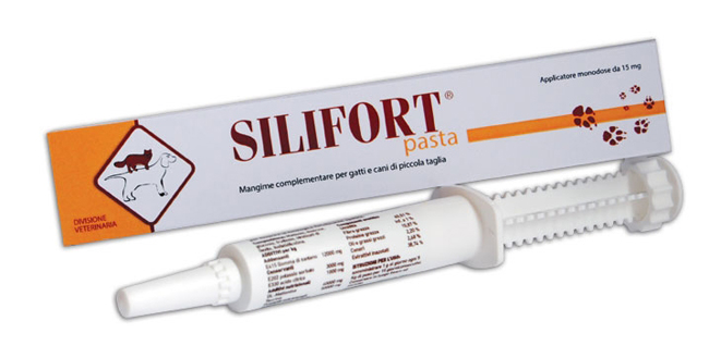 SILIFORT PASTA OS SIRINGA 30 G - FarmaLucia