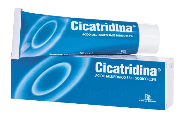 CICATRIDINA POMATA 60 G - FarmaLucia