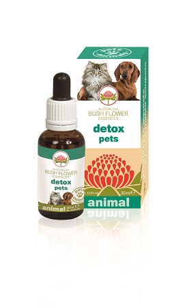 DETOX PETS 30 ML - FarmaLucia