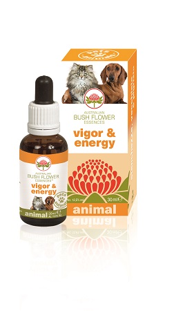 VIGOR & ENERGY 30 ML - FarmaLucia