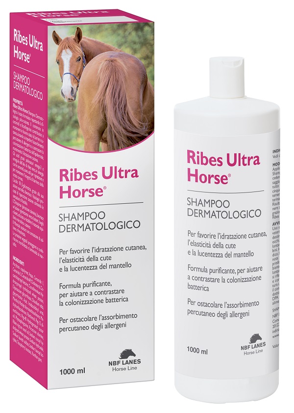RIBES HORSE ULTRA SHAMPOO DERMATOLOGICO 1 LITRO - FarmaLucia