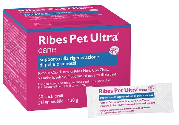 RIBES PET ULTRA CANE GEL 30 BUSTINE 4 G - FarmaLucia