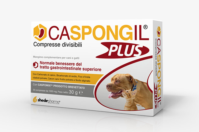 CASPONGIL PLUS 30 COMPRESSE - FarmaLucia