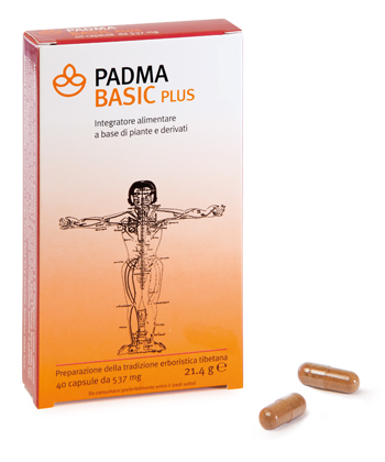 PADMA BASIC PLUS 40 CAPSULE - FarmaLucia