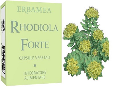RHODIOLA FORTE 24 CAPSULE - FarmaLucia