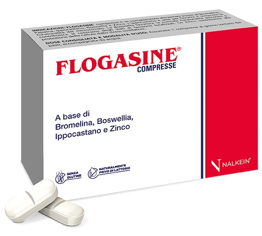 FLOGASINE 20 COMPRESSE - FarmaLucia