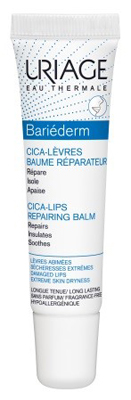 BARIEDERM CICA-LEVRES 15 ML - FarmaLucia