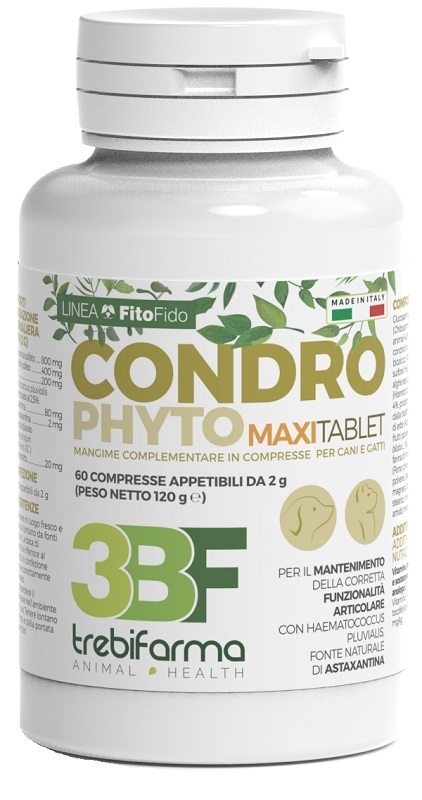 CONDROPHYTO 60 COMPRESSE 2 G - FarmaLucia