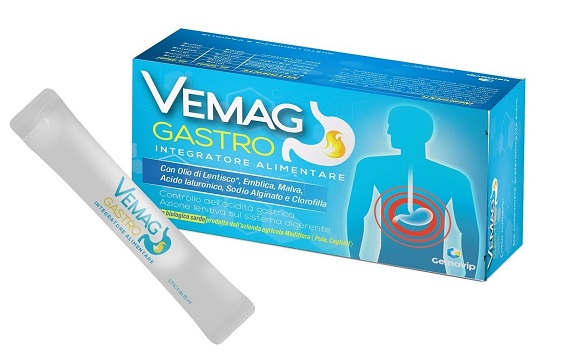 VEMAG GASTRO 20 STICK - FarmaLucia