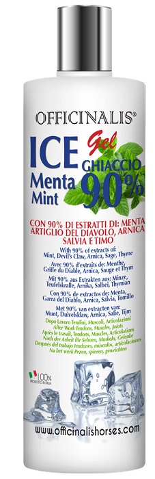 ICE GEL 90% 250 ML - FarmaLucia
